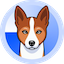 logo Basenji