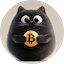 Bitcat标志