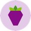 logotipo Berry Data