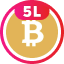 BSV5L