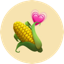 CORN