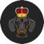 DogeKing logo