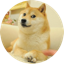 The Doge NFT logo