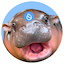 HIPPO