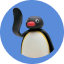 NOOT