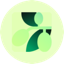 Olive logo