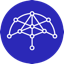 логотип Umbrella Network